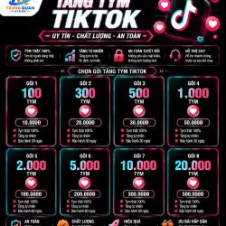 Gói Tăng Tym Tiktok Nước Ngoài ( Ổn Định)