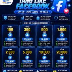 Gói Tăng Cảm Xúc Facebook Nước Ngoài - Tốc Độ Ổn - Max 100k